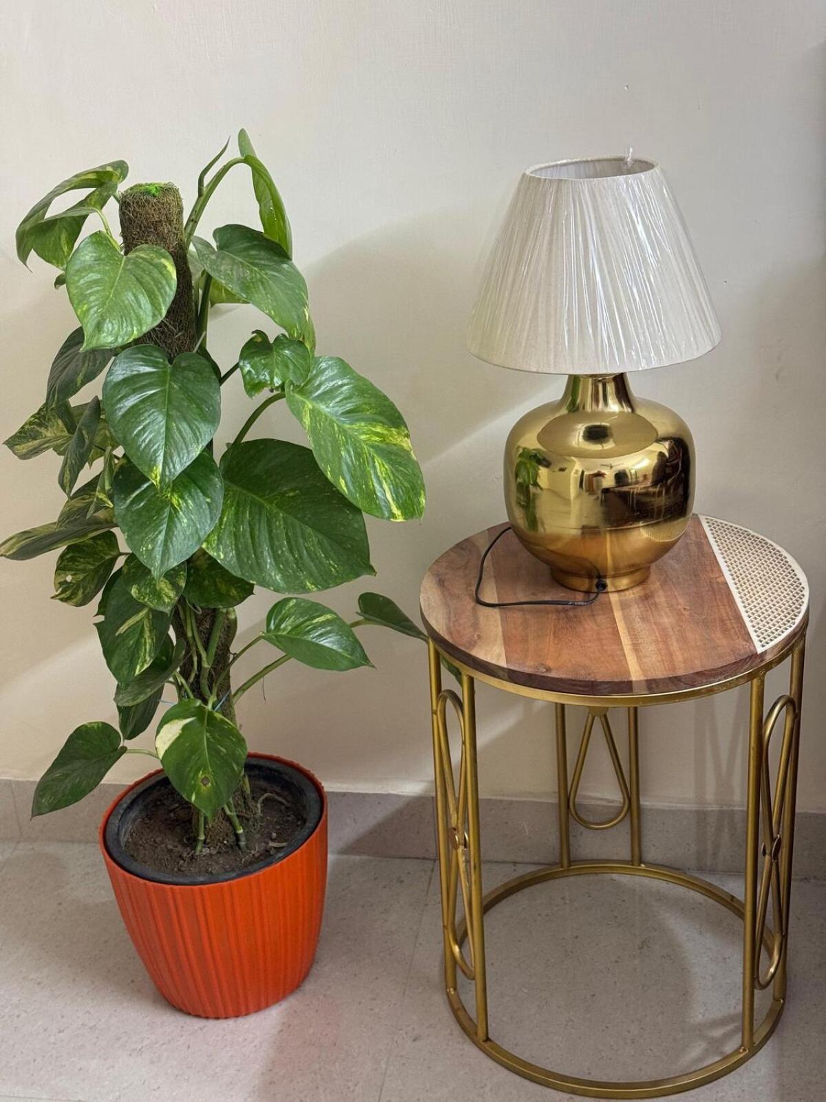 Apartment The Den- Private For Long New Delhi